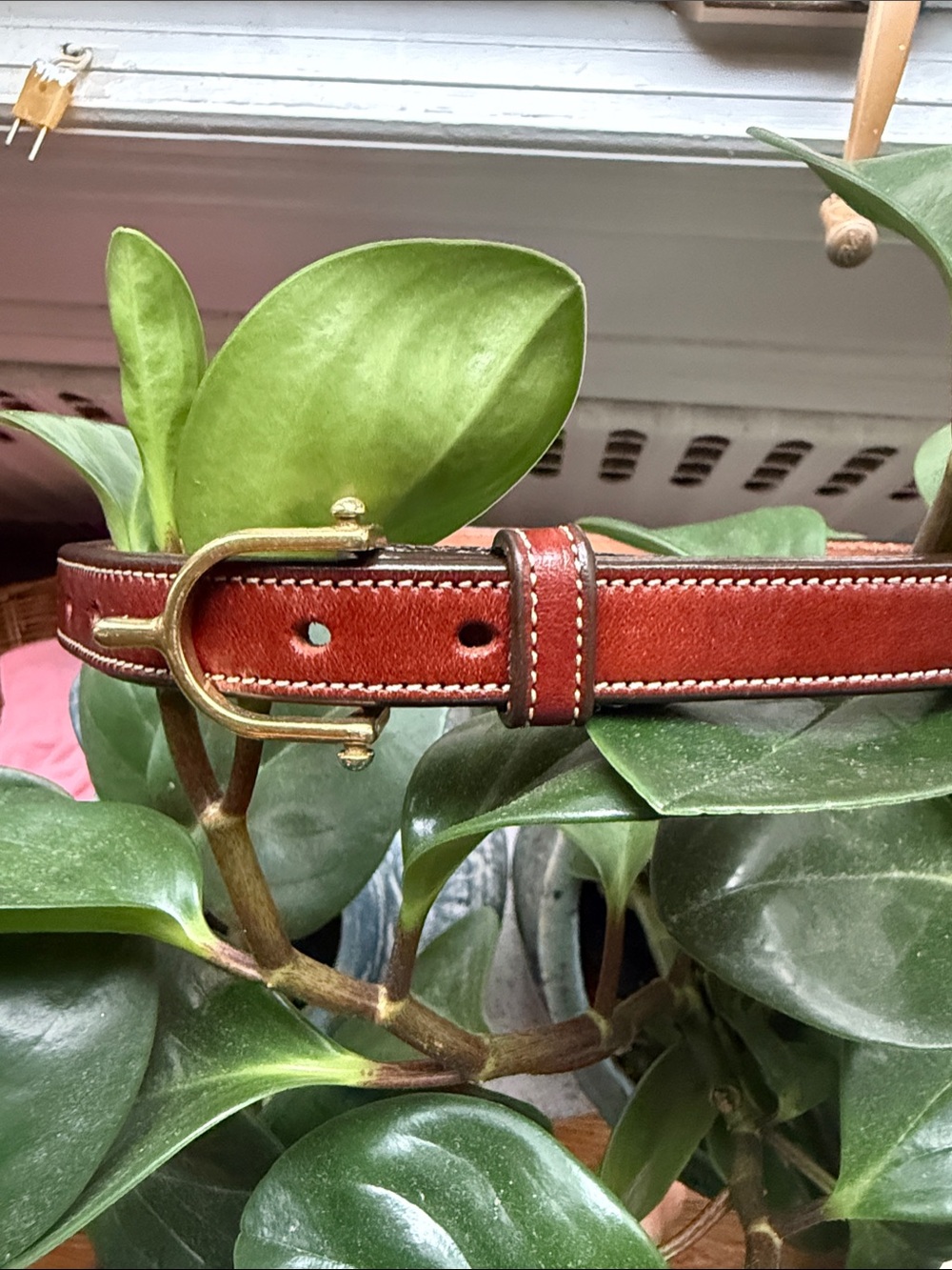 TORY Brown Leather Belt with Brads Buckle - Size 31